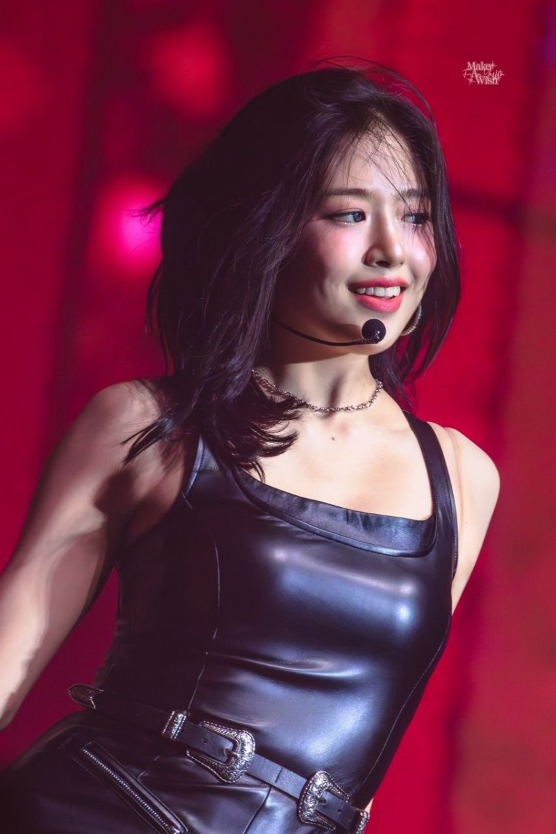 다리다리게임분석기