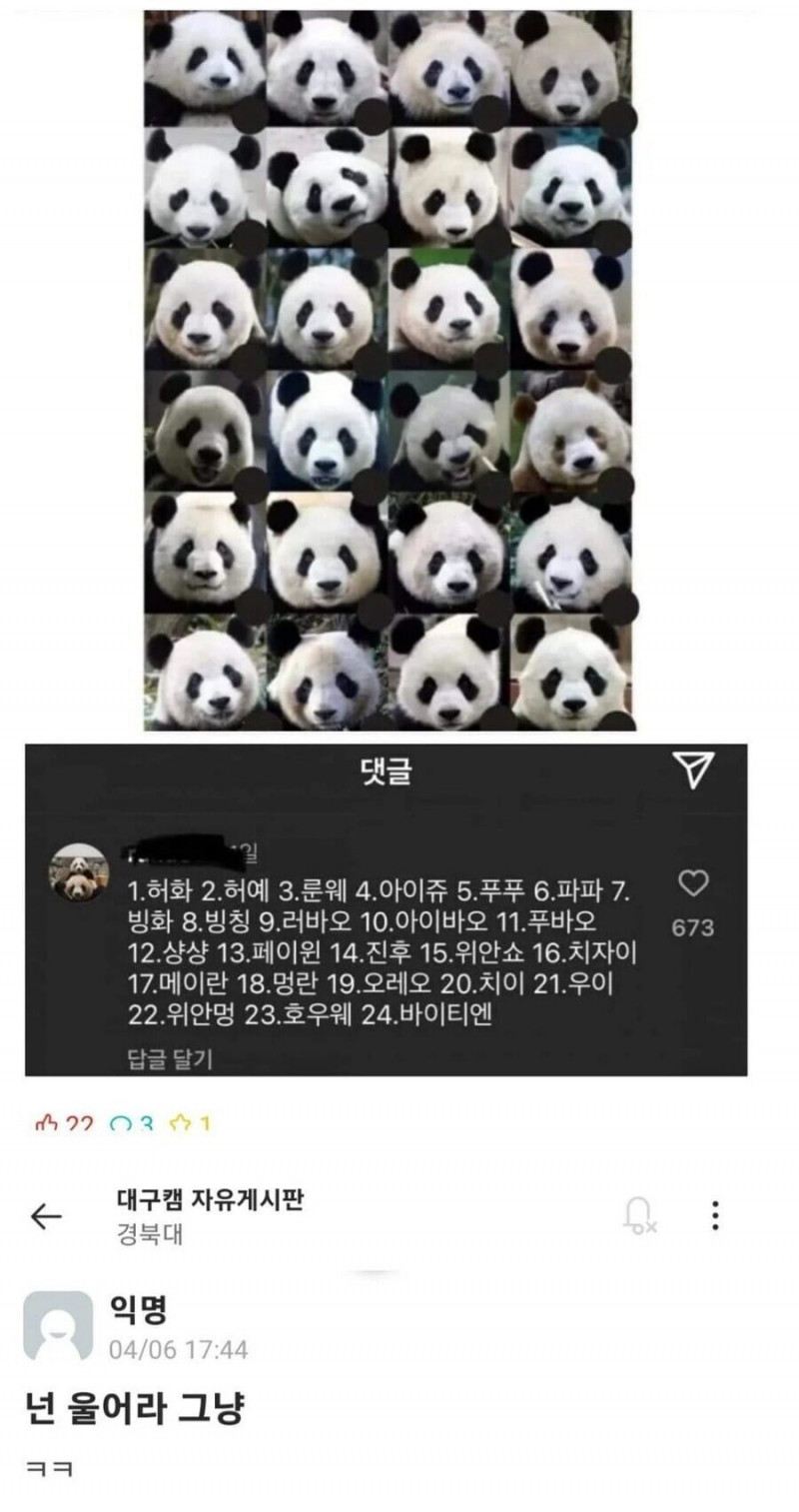 달팽이게임픽게임