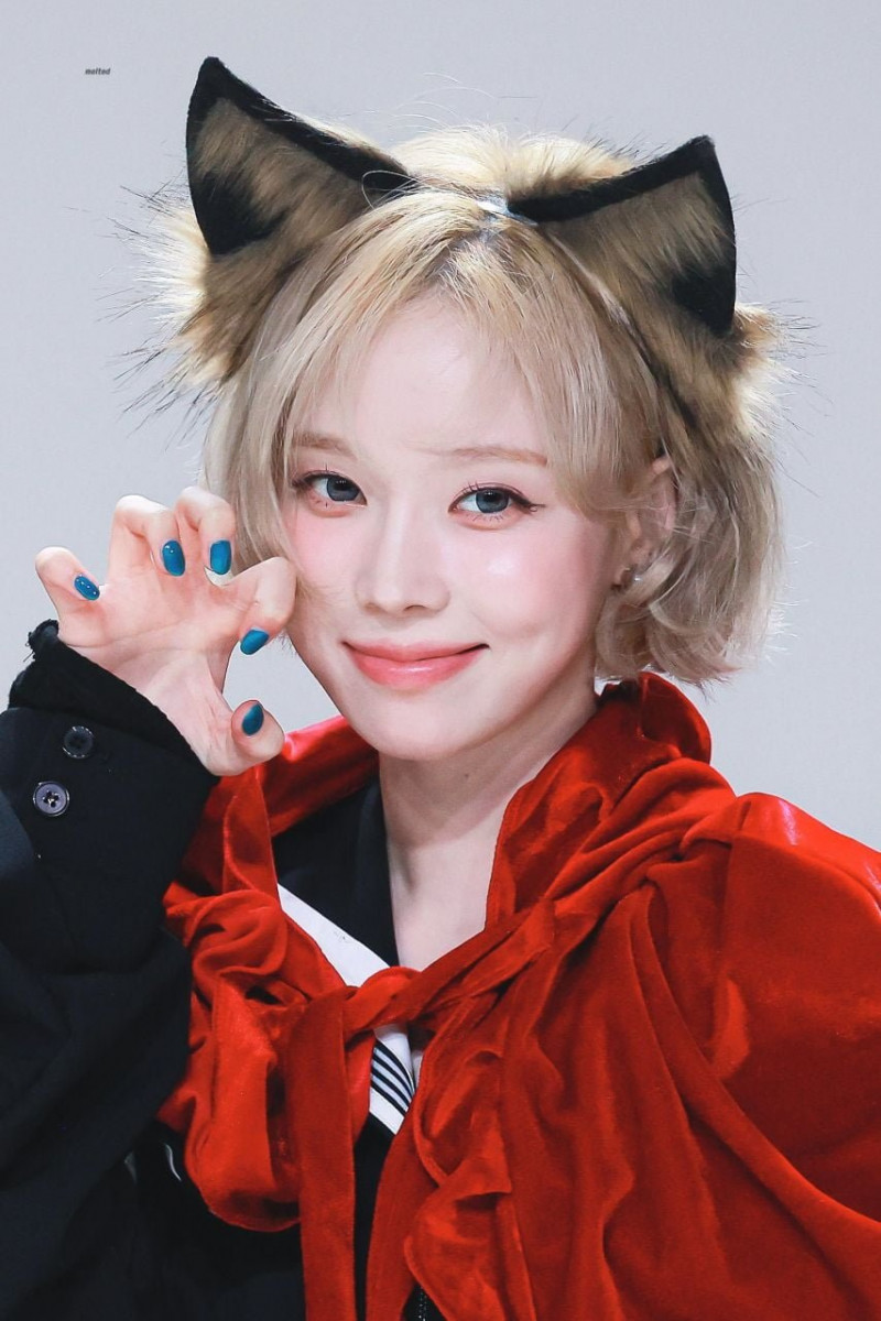 다리다리필승