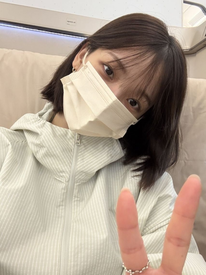파워볼게임픽분석