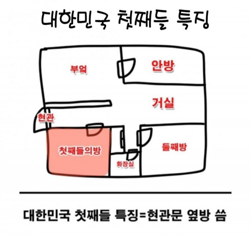 달팽이 분석과 실시간패턴통계