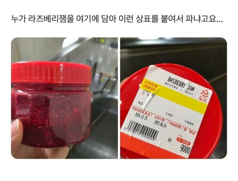 달팽이게임분석