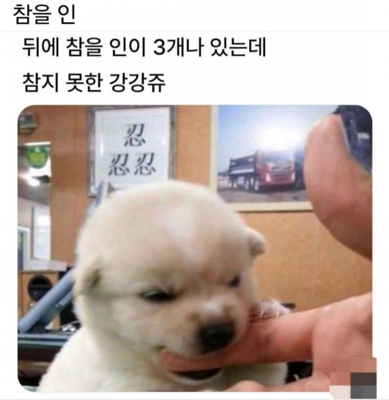 달팽이 분석과 실시간패턴통계