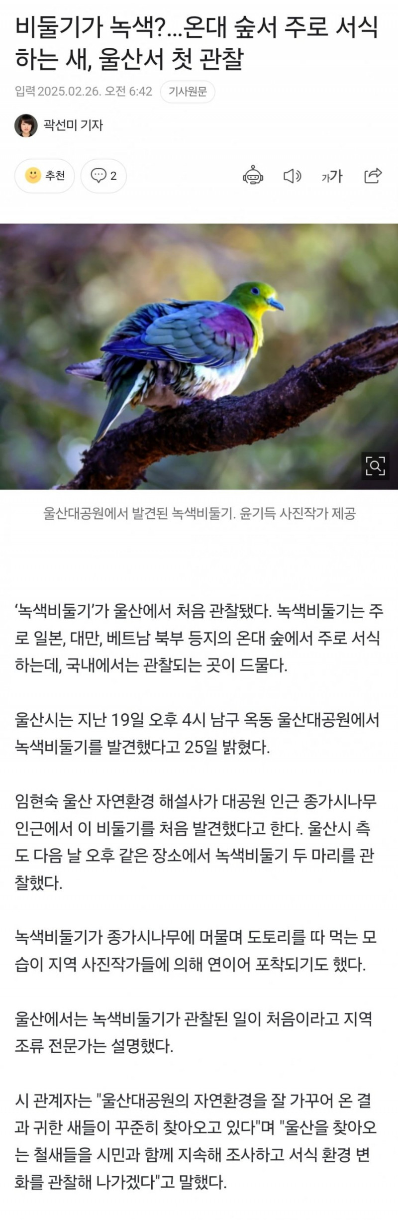 파워볼게임