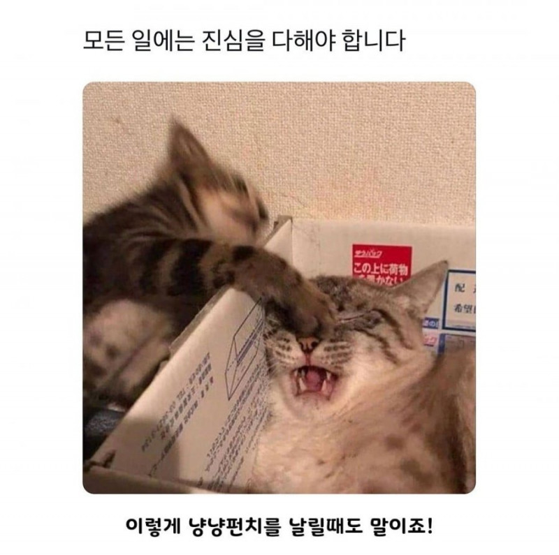 사다리게임픽분석