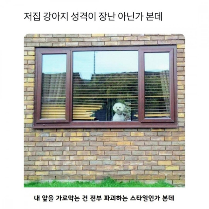 파워볼게임픽분석