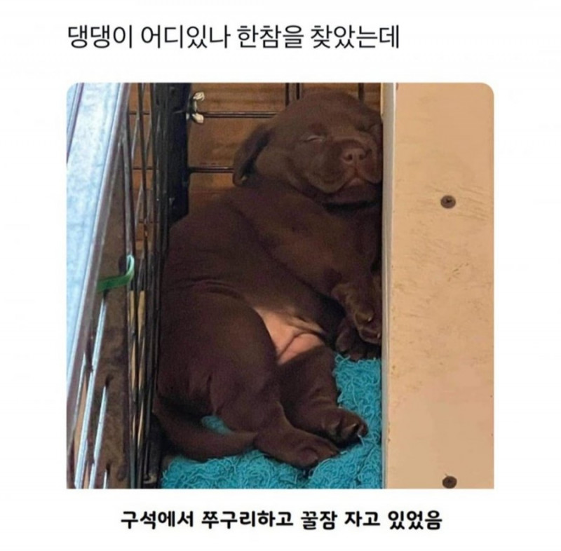 달팽이게임분석