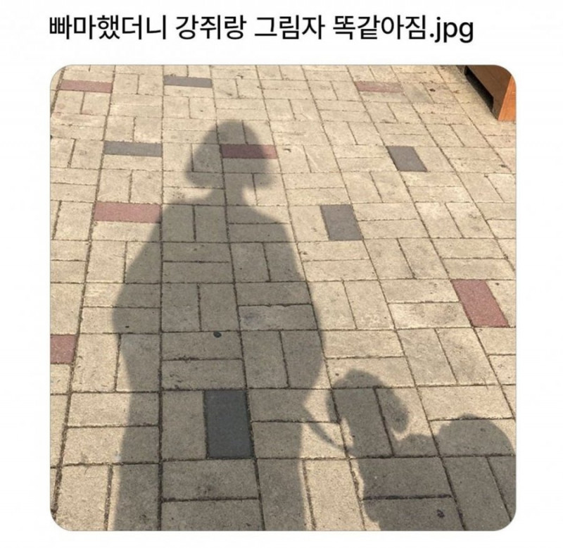 달팽이필승