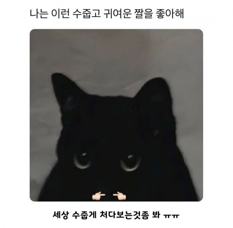 실시간게임