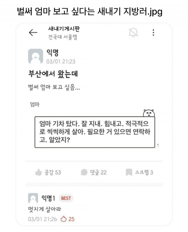 파워볼게임분석