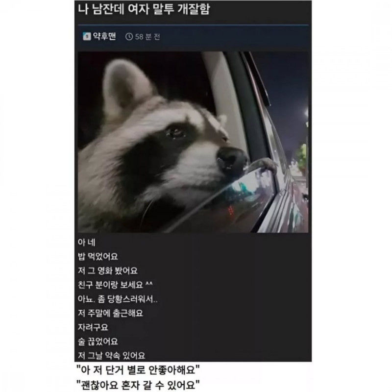 사다리게임통계