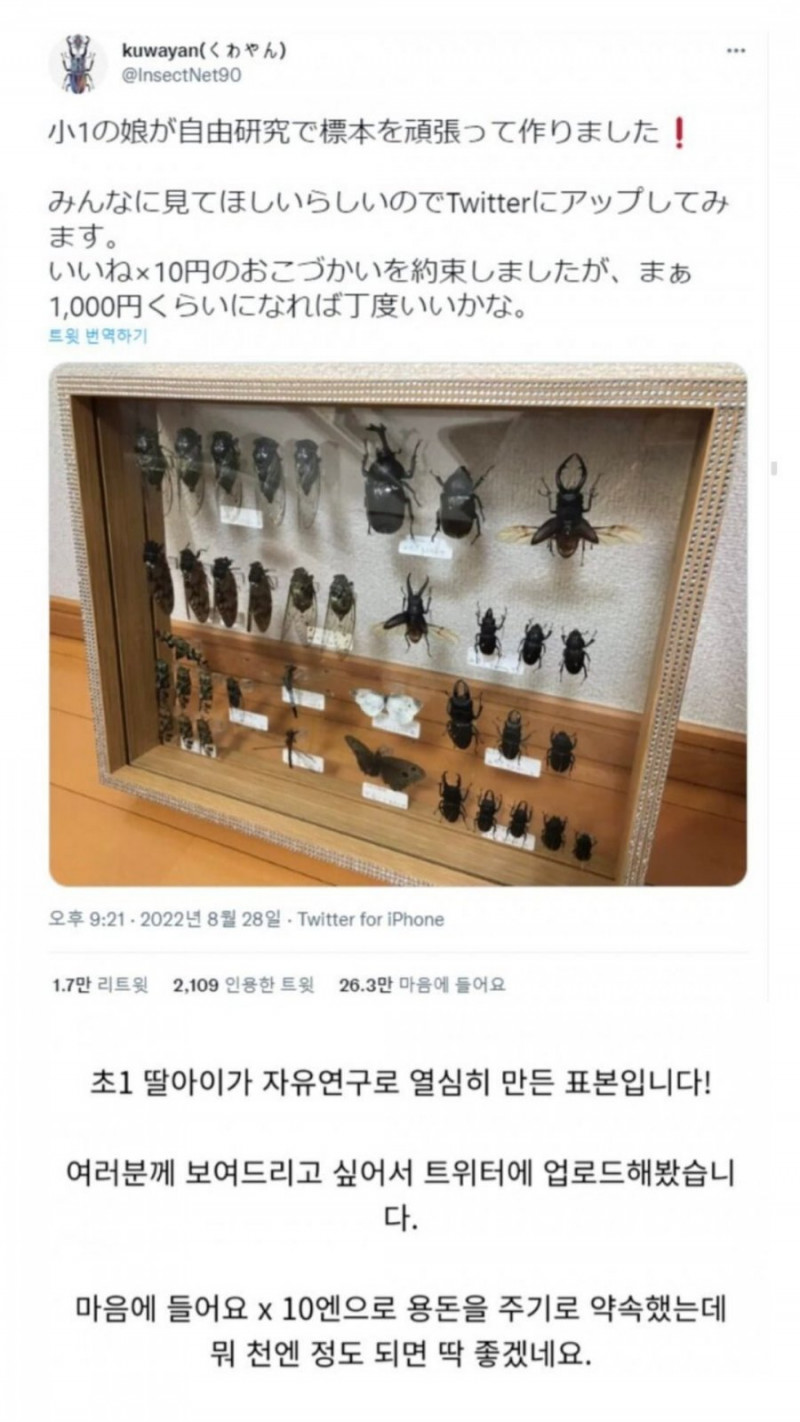 사다리필승