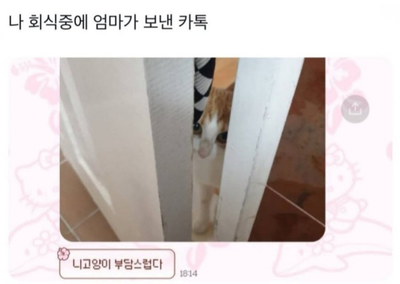 달팽이게임픽게임