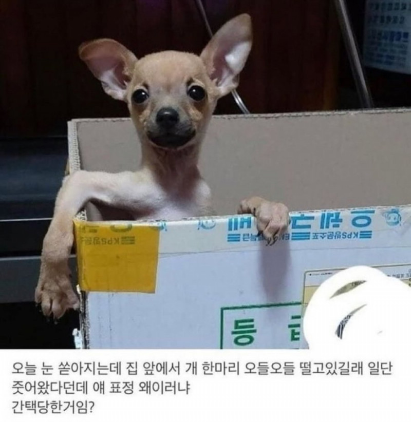 달팽이 분석과 실시간패턴통계