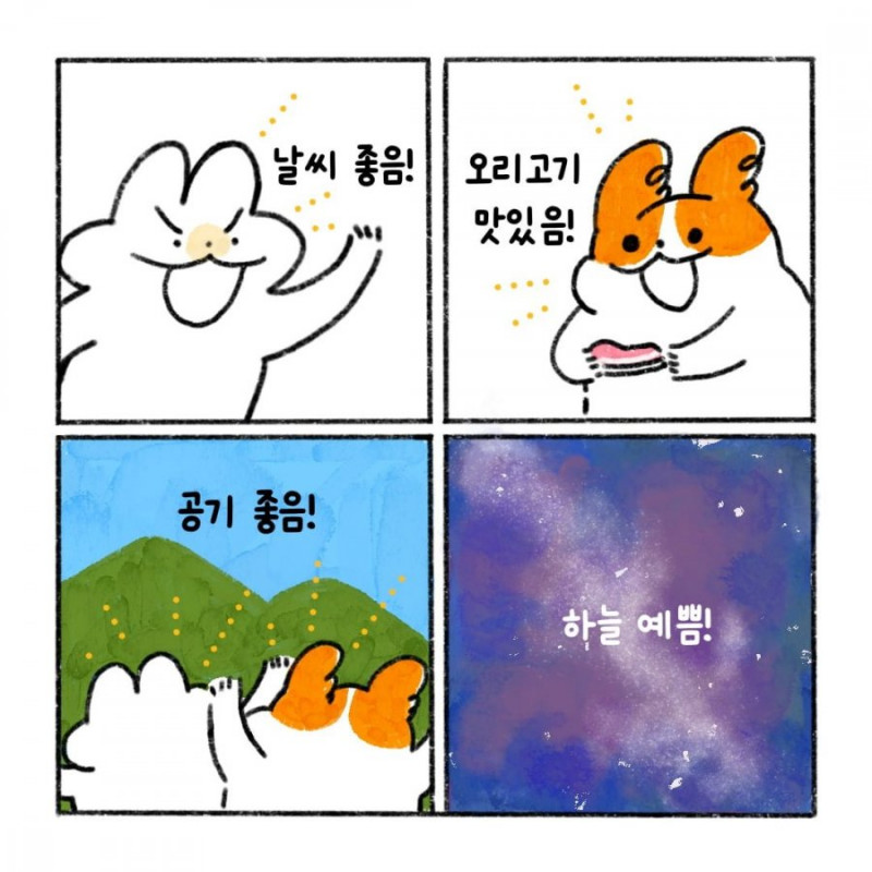 사다리게임분석기