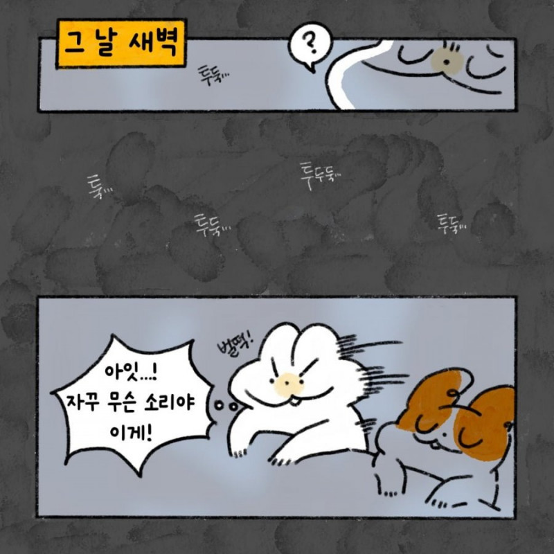 나눔로또