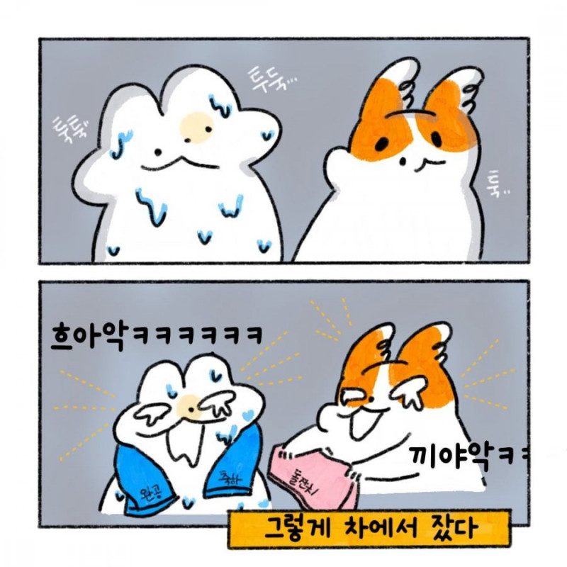 다리다리게임픽게임