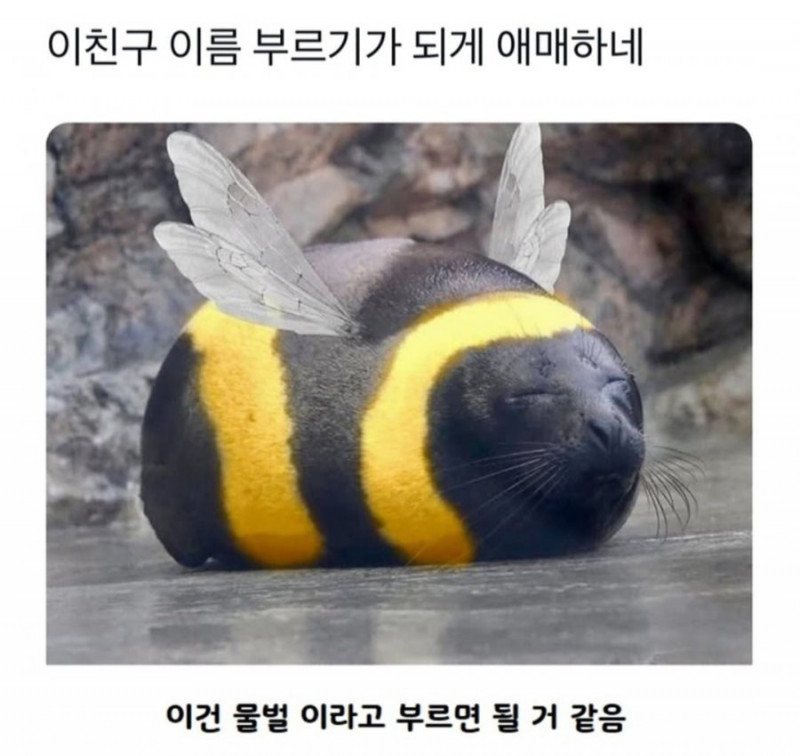 파워볼게임픽분석