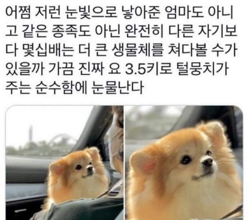 달팽이게임픽분석