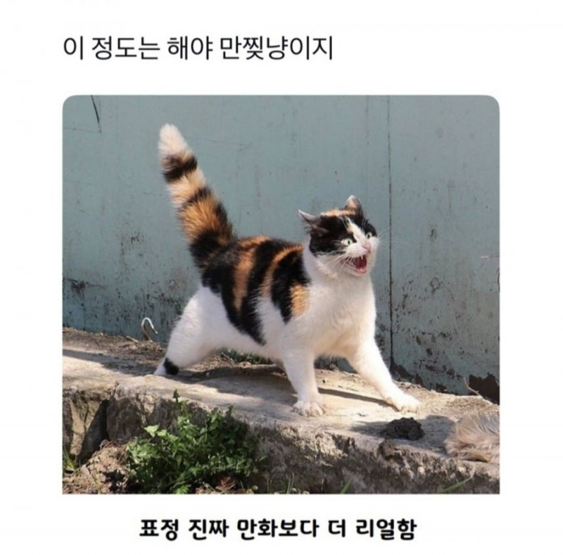 파워볼게임