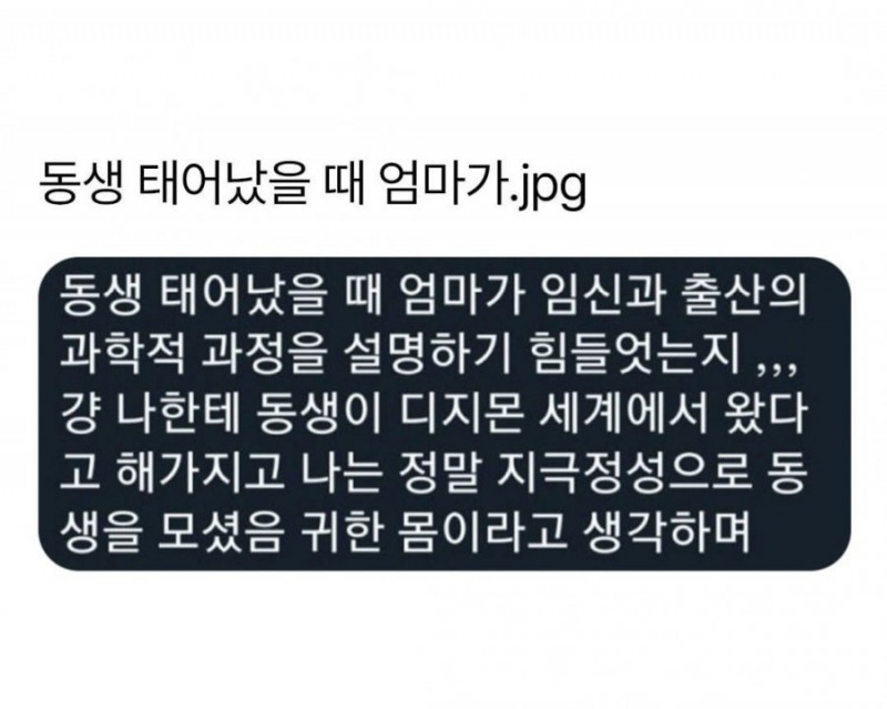 달팽이게임픽분석