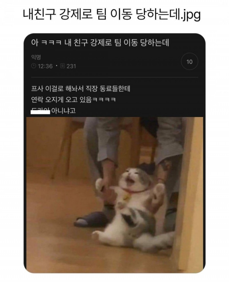 달팽이게임픽