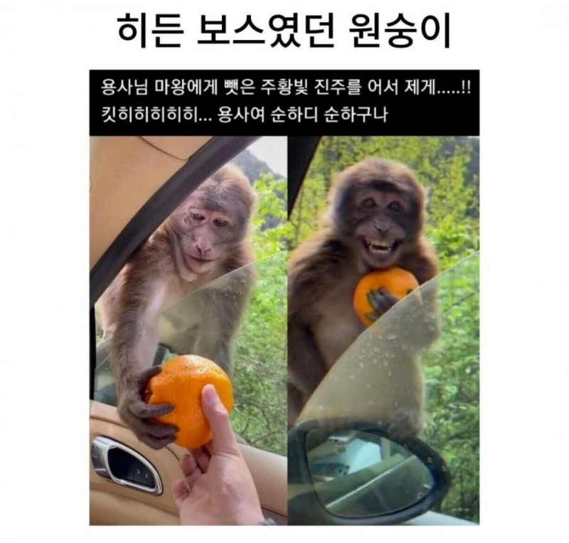 달팽이게임분석기