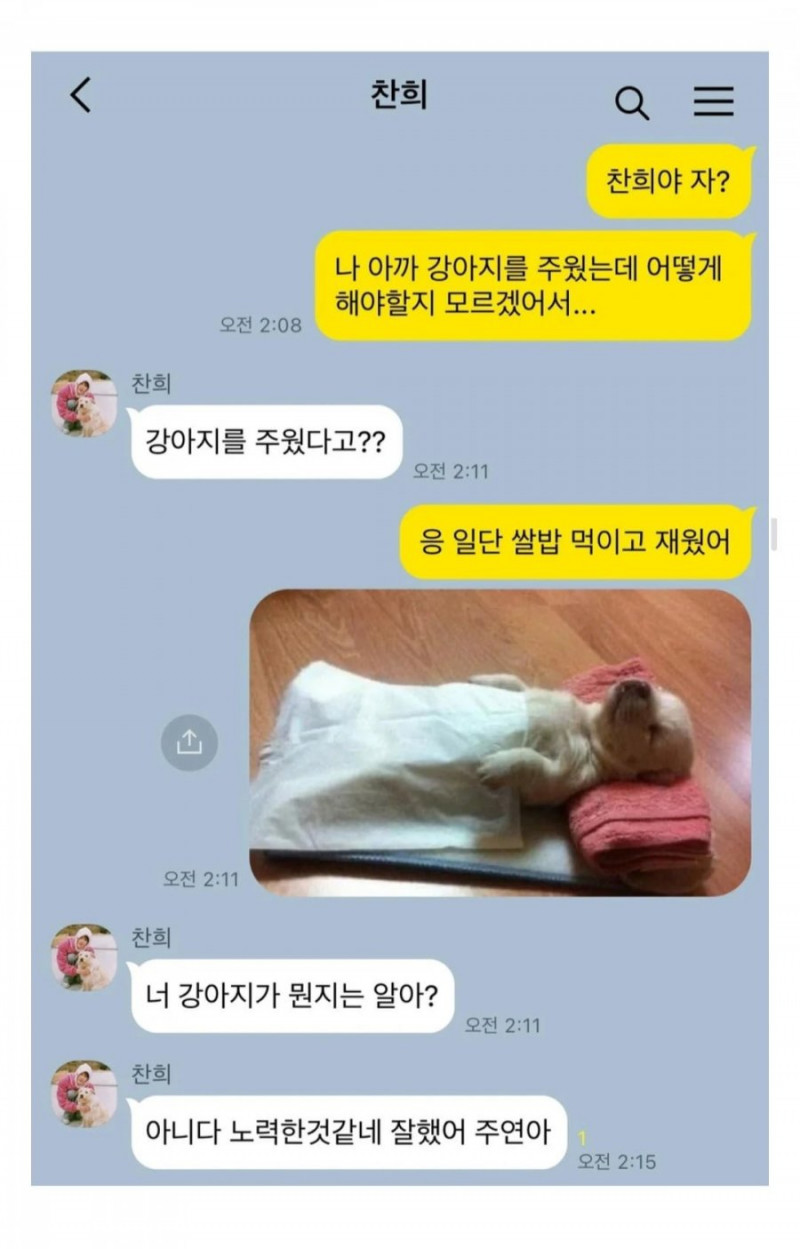 달팽이게임분석