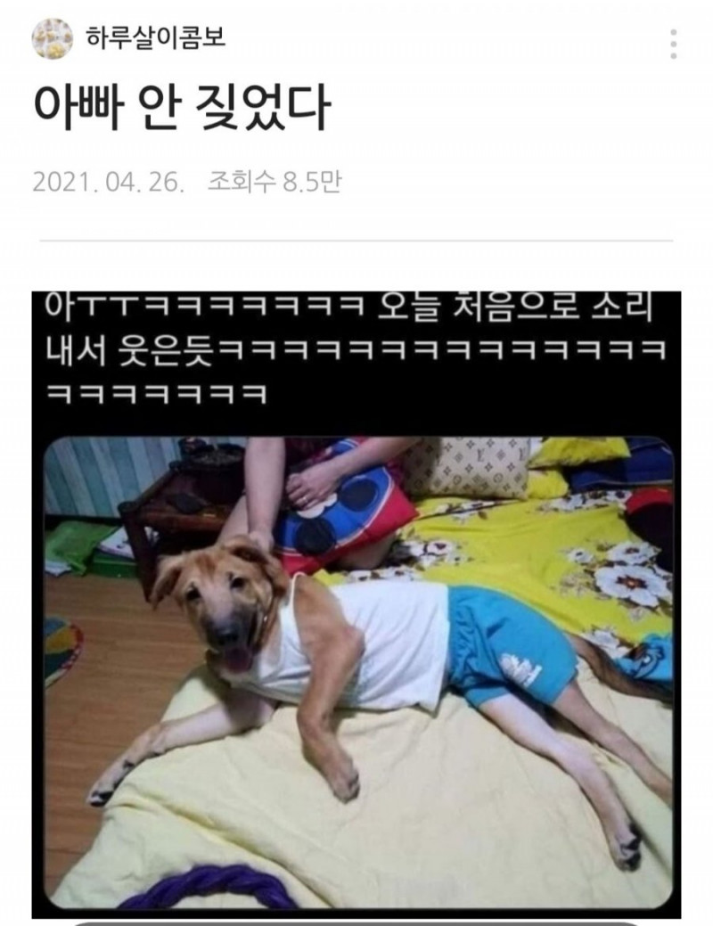 파워볼