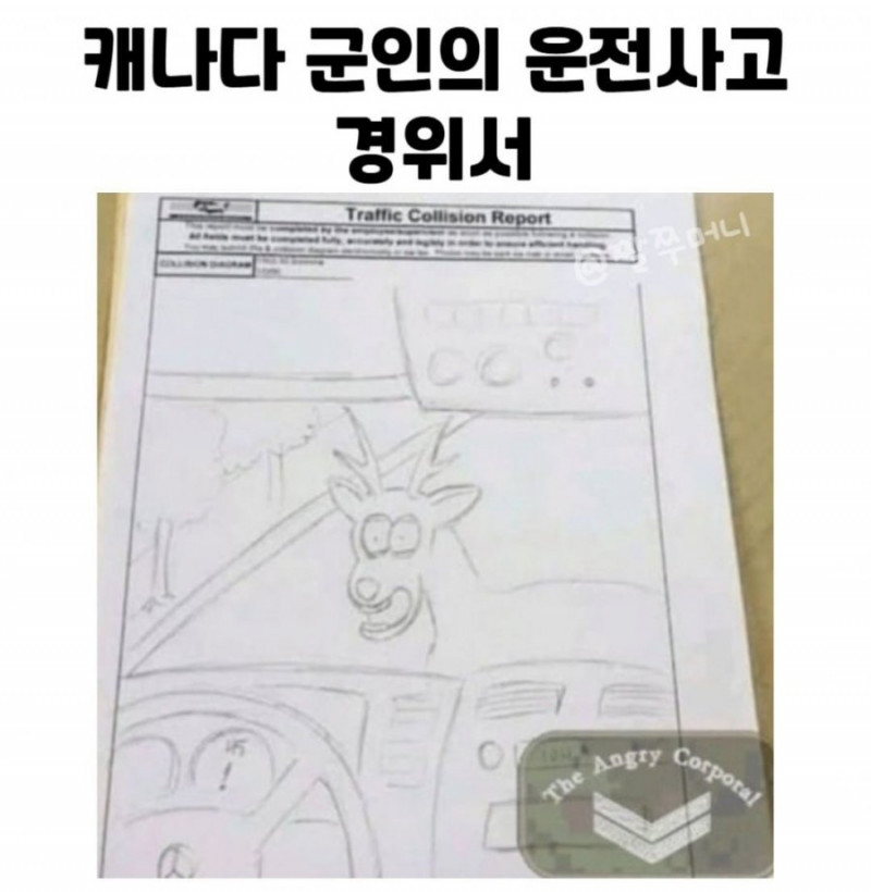 파워볼 분석과 실시간패턴통계