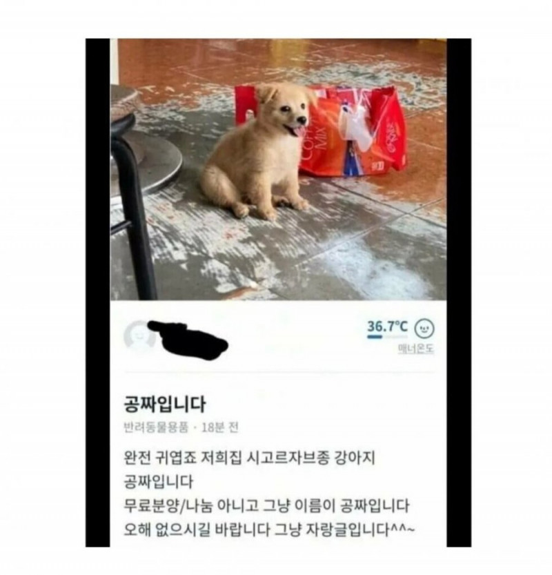 사다리게임픽