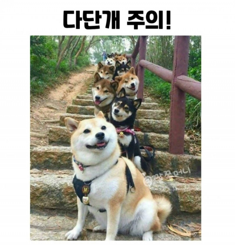 통축