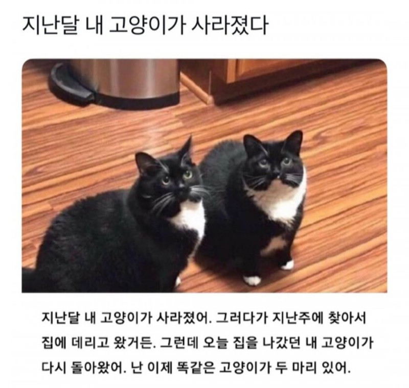 파워볼게임픽게임