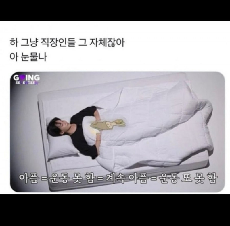 달팽이게임분석기