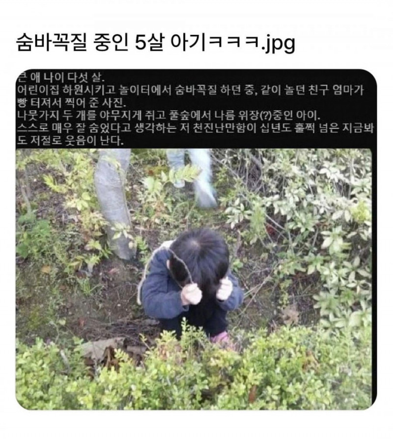 달팽이게임픽