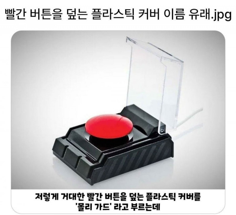 달팽이필승