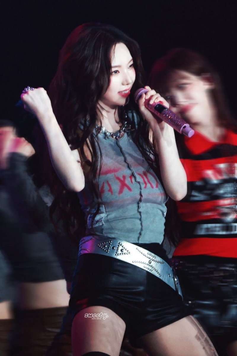 사다리게임분석