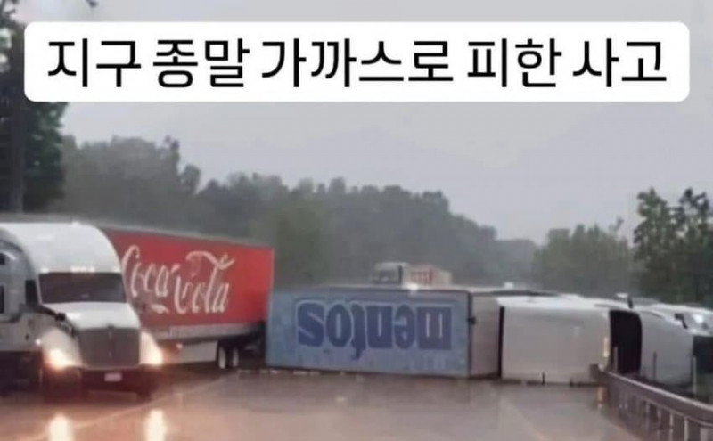 실시간다리다리