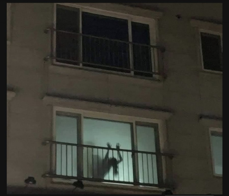 파워볼 분석과 실시간패턴통계