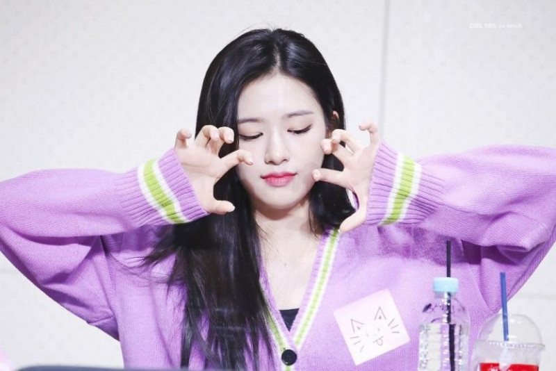 다리다리게임분석기