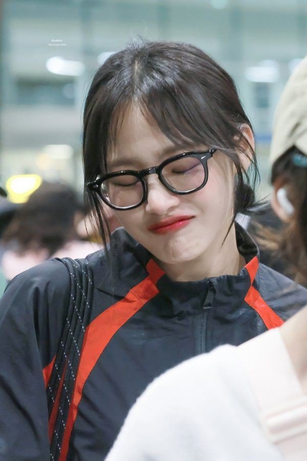 실시간다리다리