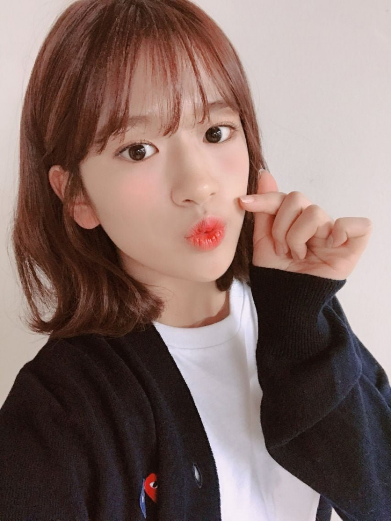 달팽이필승