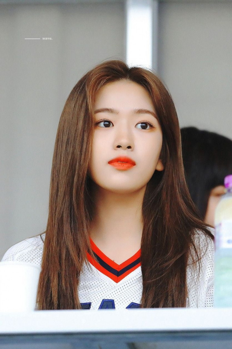 다리다리게임픽분석