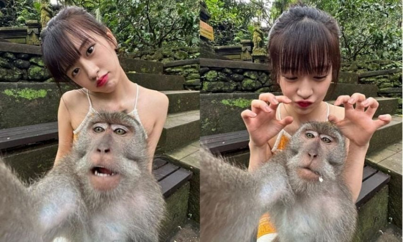 사다리게임분석