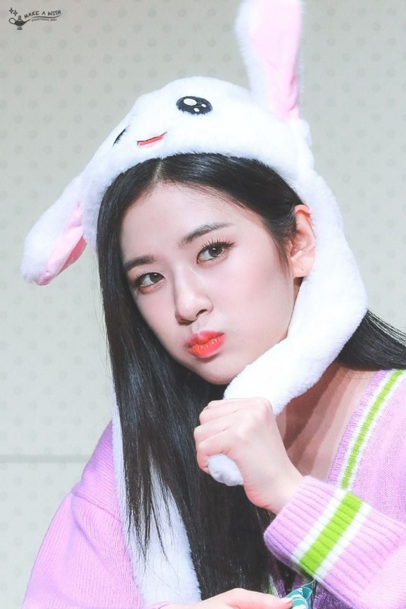 사다리 분석과 실시간패턴통계