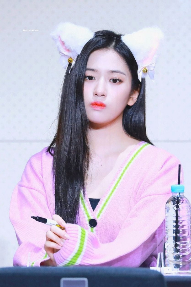 다리다리게임통계