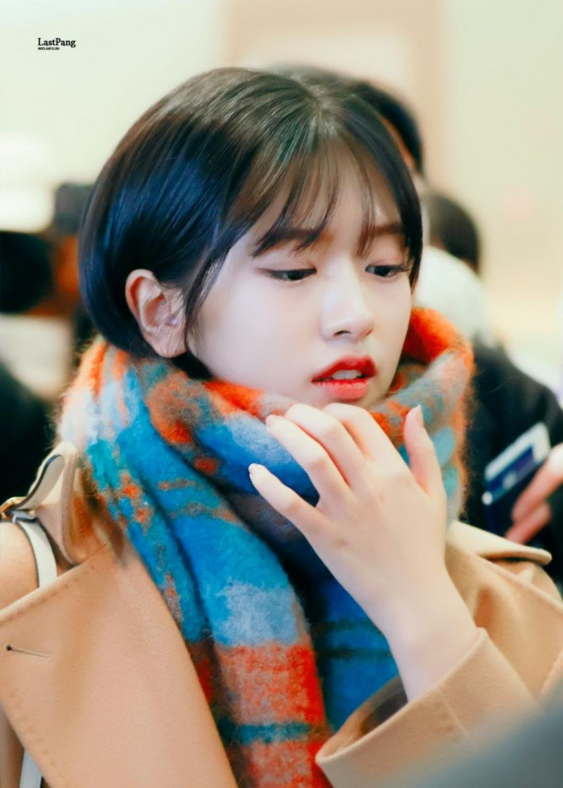나눔로또 파워볼분석기
