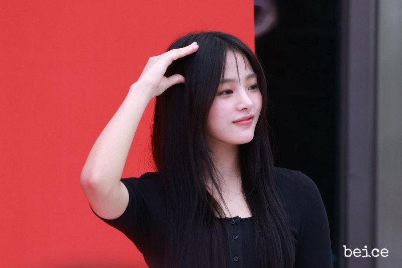 나눔로또 파워볼분석기