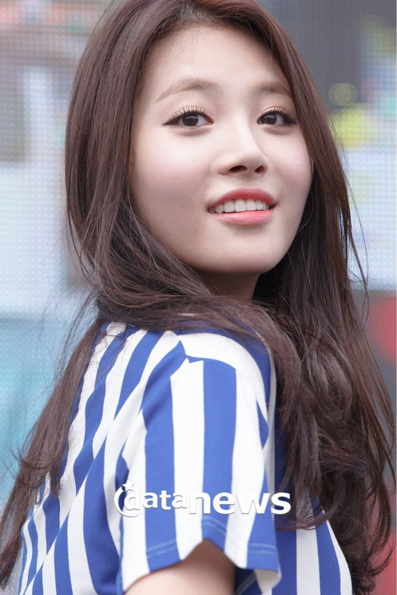 다리다리필승