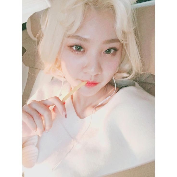 실시간사다리